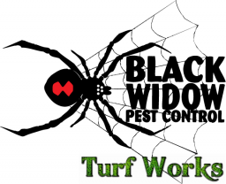 Icon for Black Widow Pest Control