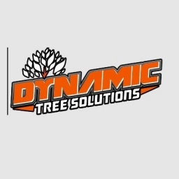 Icon for DYNAMIC TREE SOLUTIONS