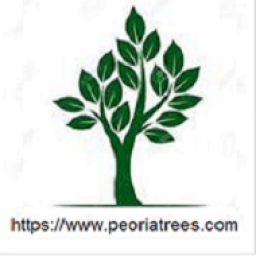 Icon for Peoria Trees