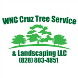 Icon for  WNC CRUZ TREE SERVICE LLC