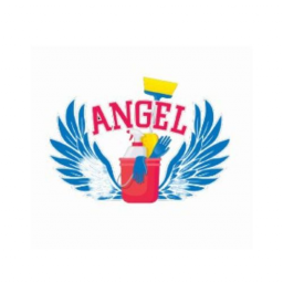 Icon for Angels Delivery & Cleaning Services