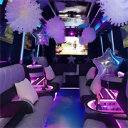 Icon for Party Bus 909