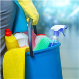 Icon for Roxanas House Cleaning