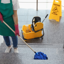 Icon for The Mona Lisa maid and cleaning service