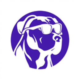 Icon for Underdog Solutions 