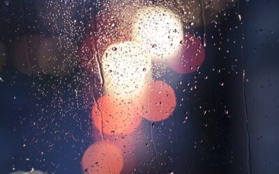 Car Window Tinting: A Guide to Douglasville, GA’s Best Tinting…