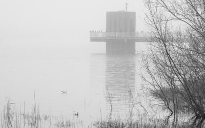 Pave Your Way to Perfection: Driveway Paving Contractors in Alton,…