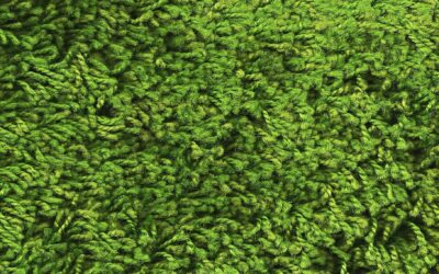 Fireplaces & Chimney Maintenance | Fireside Haven: A Comprehensive Guide…