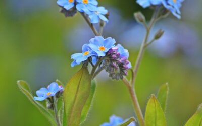 The Ultimate Guide to Non-Surgical Aesthetic Enhancements: Micro Needling, Neck…