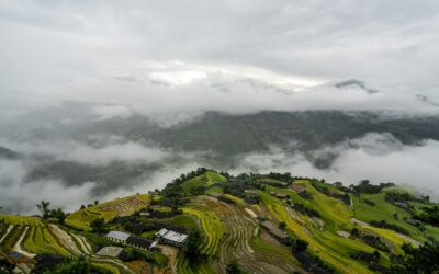 Electrifying Your Home: A Comprehensive Guide to Finding the Perfect…