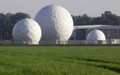 Explore New Mexico’s Hidden Gems: Unique Experiences and Specialized Services…