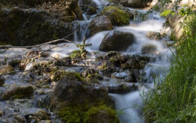 Utah Web Design Utah Web Designer Website Design Utah Utah…