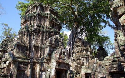 Waste Management, Demolition, and Power Washing: A Guide to Essential…