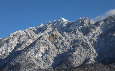 Affordable Weed Control In Piute County, Utah – The Ultimate…