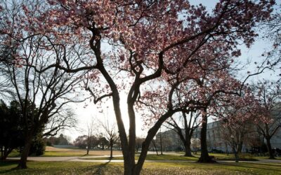 Auto Repair Shop In Indianapolis IN Car Customization Services In…