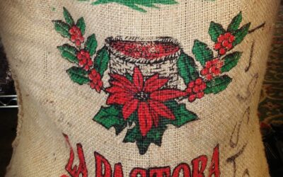 Diesel Repair & Service:: All You Need To Know About…