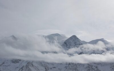 Diesel Repair Services | Diesel Repair Services: The Ultimate Guide…