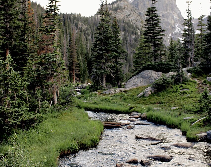 Eco-friendly Weed Control In Colorado: Eco-Friendly Weed Control In Colorado:…