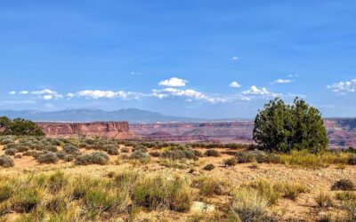 Hardwood Flooring Installation In Tooele County, Utah – Hardwood Flooring…