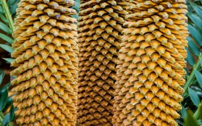 Historical Sites: | Embark On An Enchanting Journey Through Wyoming’s…