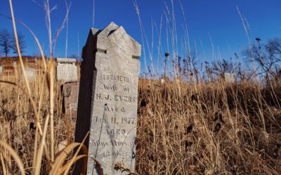 Home & Garden: &raquo; Home & Garden: A Serene Sanctuary…