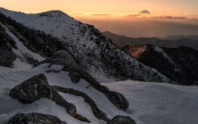 Home Decor Boutiques In Midwest / Embark On A Midwest…