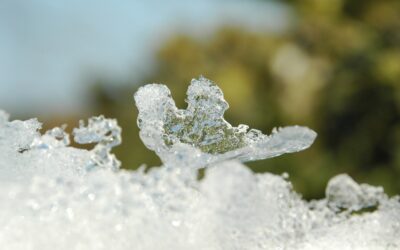 Landscaping / Landscaping: A Comprehensive Guide For Enhancing Your Kentucky…