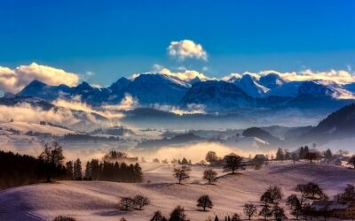 Occasions &raquo; Unveiling The World Of Occasions In Illinois: A…