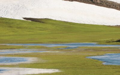 Package Delivery Services In Rochester NY – Unlocking Seamless Package…