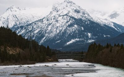 Packing Services In Baton Rouge LA » Unveiling The Ultimate…