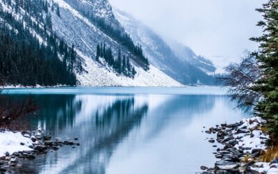 Painting – Painting: Your Guide To Finding The Perfect Local…