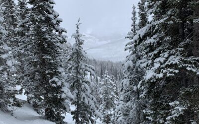 Playgrounds In Carbon County, Utah – TL;DR – Too Long;…