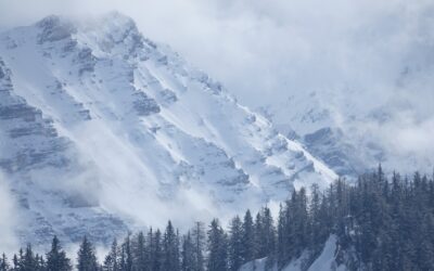 Realtor In Honolulu HI | The Ultimate Guide To Nature…