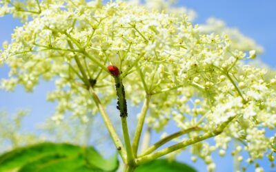 Roofing Contractor In Mount Clemens MI Roof Repair Services In…