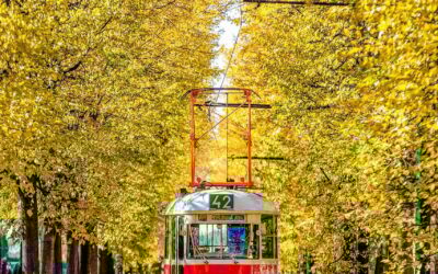 Search Engine Optimization » Embark On The Path To Online…