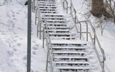 Services: The Ultimate Guide To Food & Drink Services In…