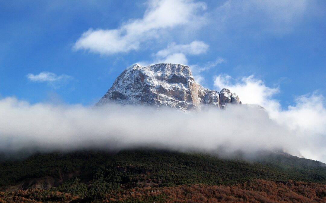 Specialty Stores » Dive Into The Specialty Stores Of Alaska:…