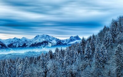 Top Services In {area}: Top Services In North Dakota: Unlocking…