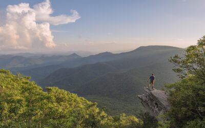 Waste Management Service In Salisbury MD Junk Removal Company In…