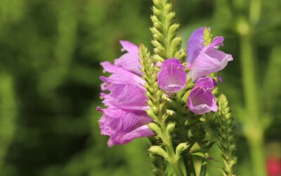 Welder In Commerce City CO Welding Mechanic In Denver CO…