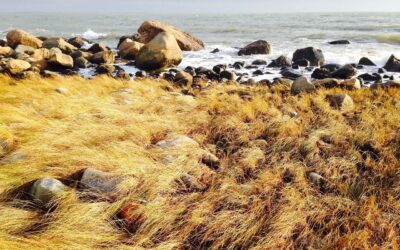 Boat Painting Painting A Boat Gel Coat Gel Coat Repair…