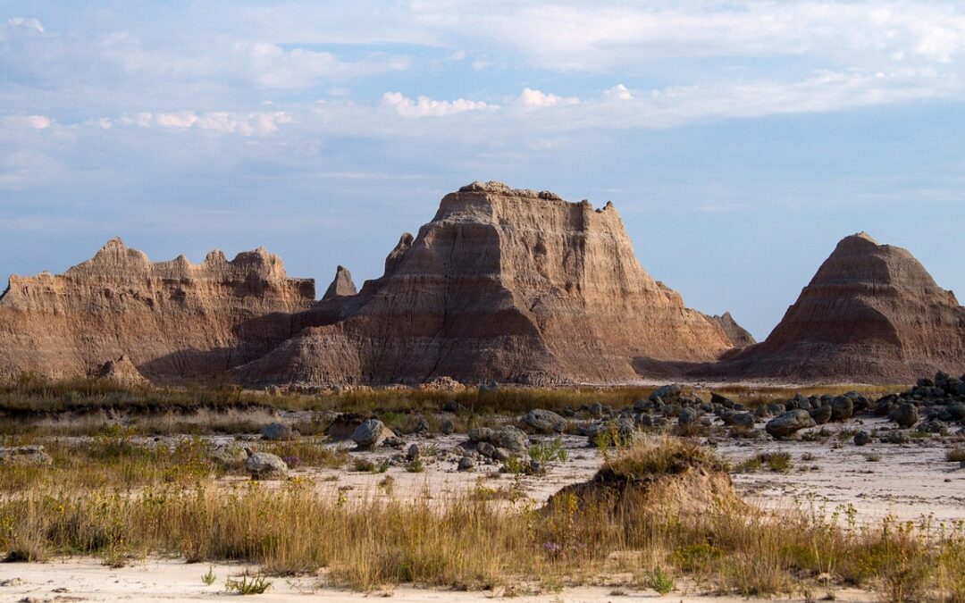 Art Galleries In South Dakota – Uncover The Beauty Of…