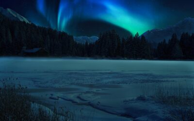 Assistance Services In San Bernardino CA ~ Assistance Services In…