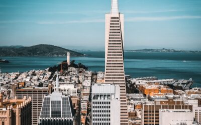 Bay Area Seo Services | Unlocking Growth: Bay Area SEO…