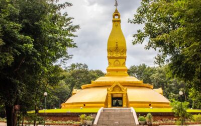 Car Detailing Service In Tacoma WA Paint Correction Service In…