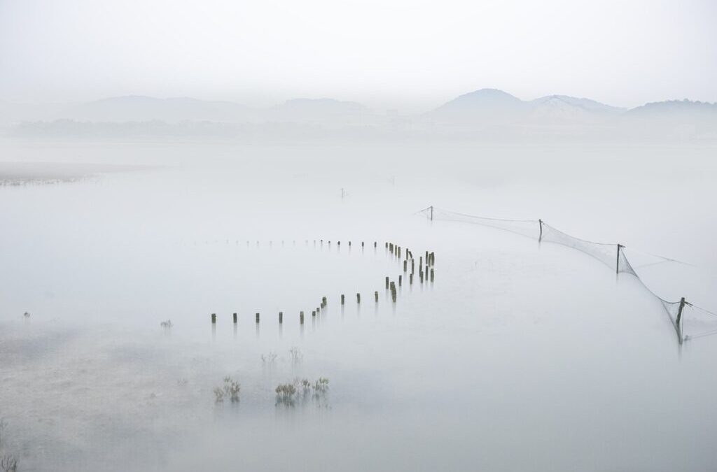 Causes Of Water Shortages » The Great Salt Lake: A…