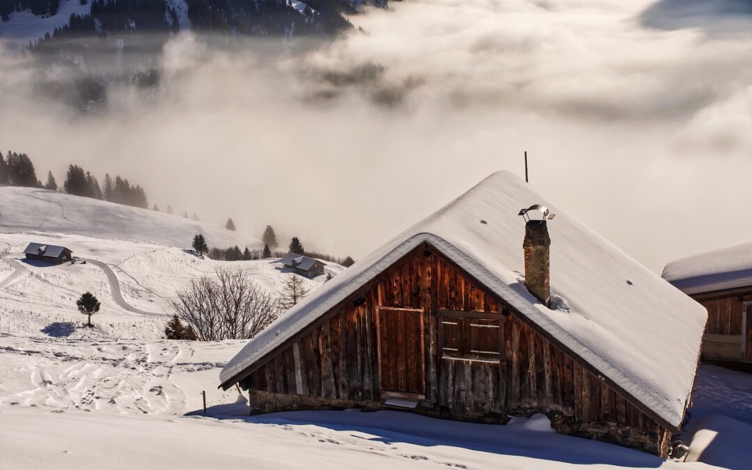 Chimney Leak Repair / Chimney Woes? Get Your Leak Fixed…