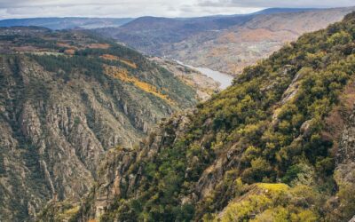 Courier Services In Fort Myers FL – Courier Services In…