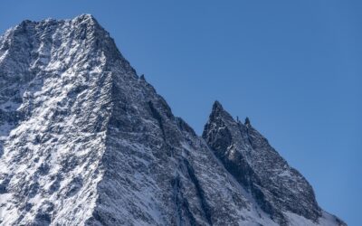 Custom Boxes Wholesales » Unveiling The Secrets Of Custom Boxes…