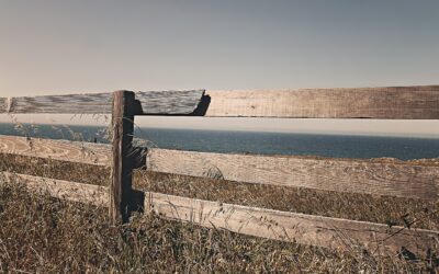 Environmental Health Service In Evans GA Mold Inspection And Testing…